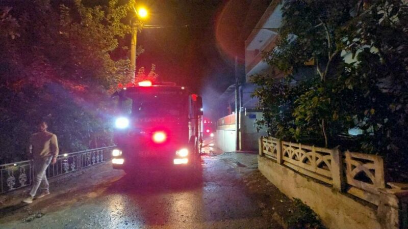Bursa’nın Mudanya ilçesi Altıntaş Mahallesi’nde üç katlı kullanılmayan binada çıkan