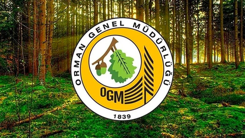 Tarım ve Orman Bakanlığı Orman Genel Müdürlüğü (OGM), 262 daimi