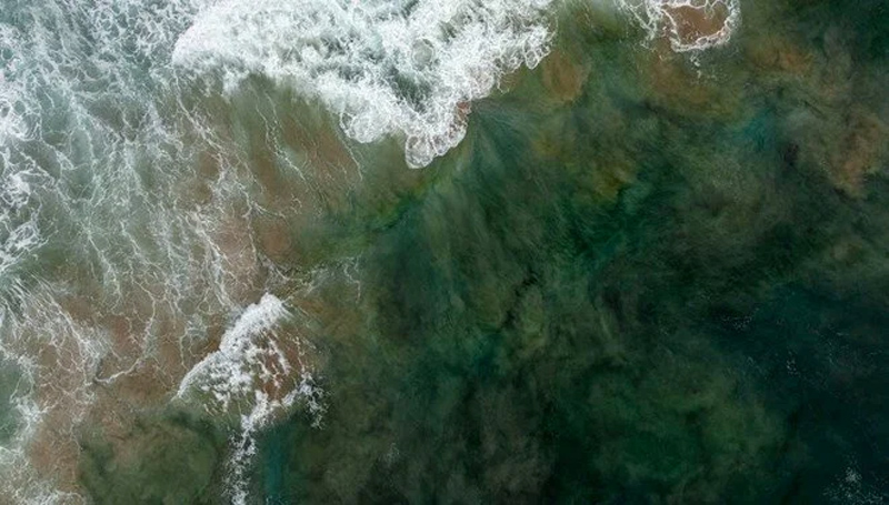 40 yıl sonra ilk! Bilim dünyası alarmda 40 yıl sonra ilk! Bilim dünyası alarmda