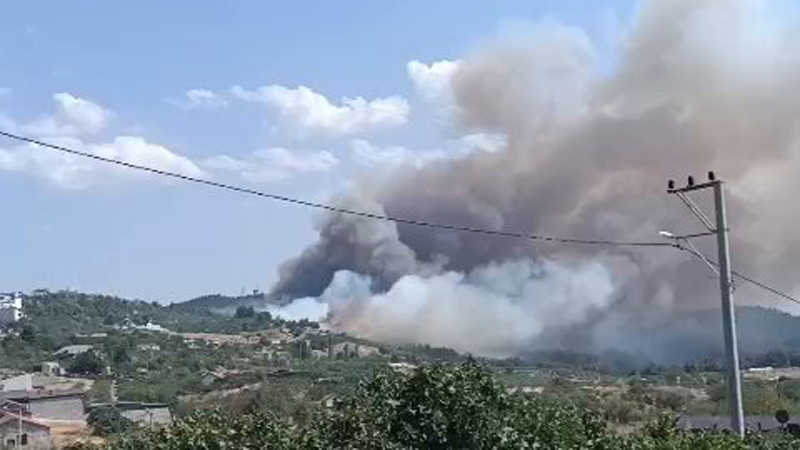 Bursa’daki orman yangını hakkında Büyükşehir’den açıklama