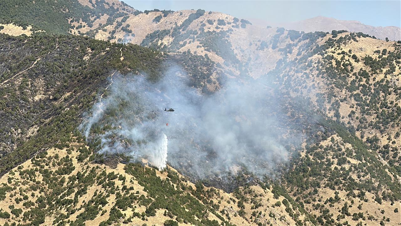 Hakkari’de ormanlık alanda yangın