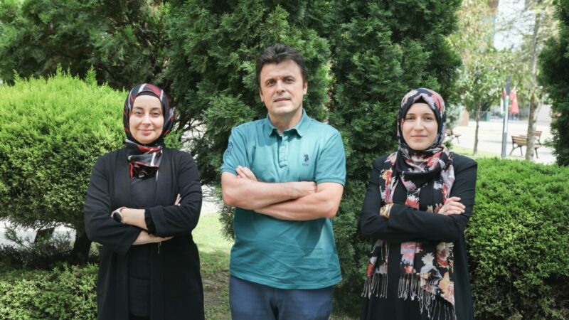 Bursa Teknik Üniversitesi (BTÜ) matematik eğitiminde dijital dönüşümü hedefleyen bir