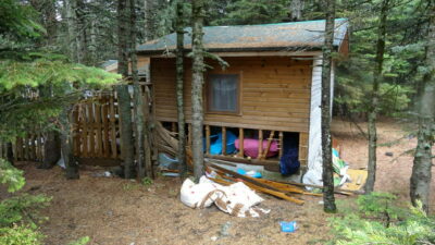 Bursa’da ayı kâbusu