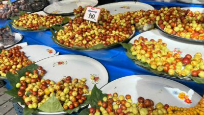 ‘Ölümsüzlük meyvesi’ Bursa tezgahlarında