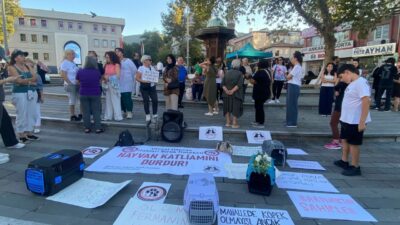 Bursa’da hayvan hakları için ortak ses: ‘Vahşete sessiz kalma!’