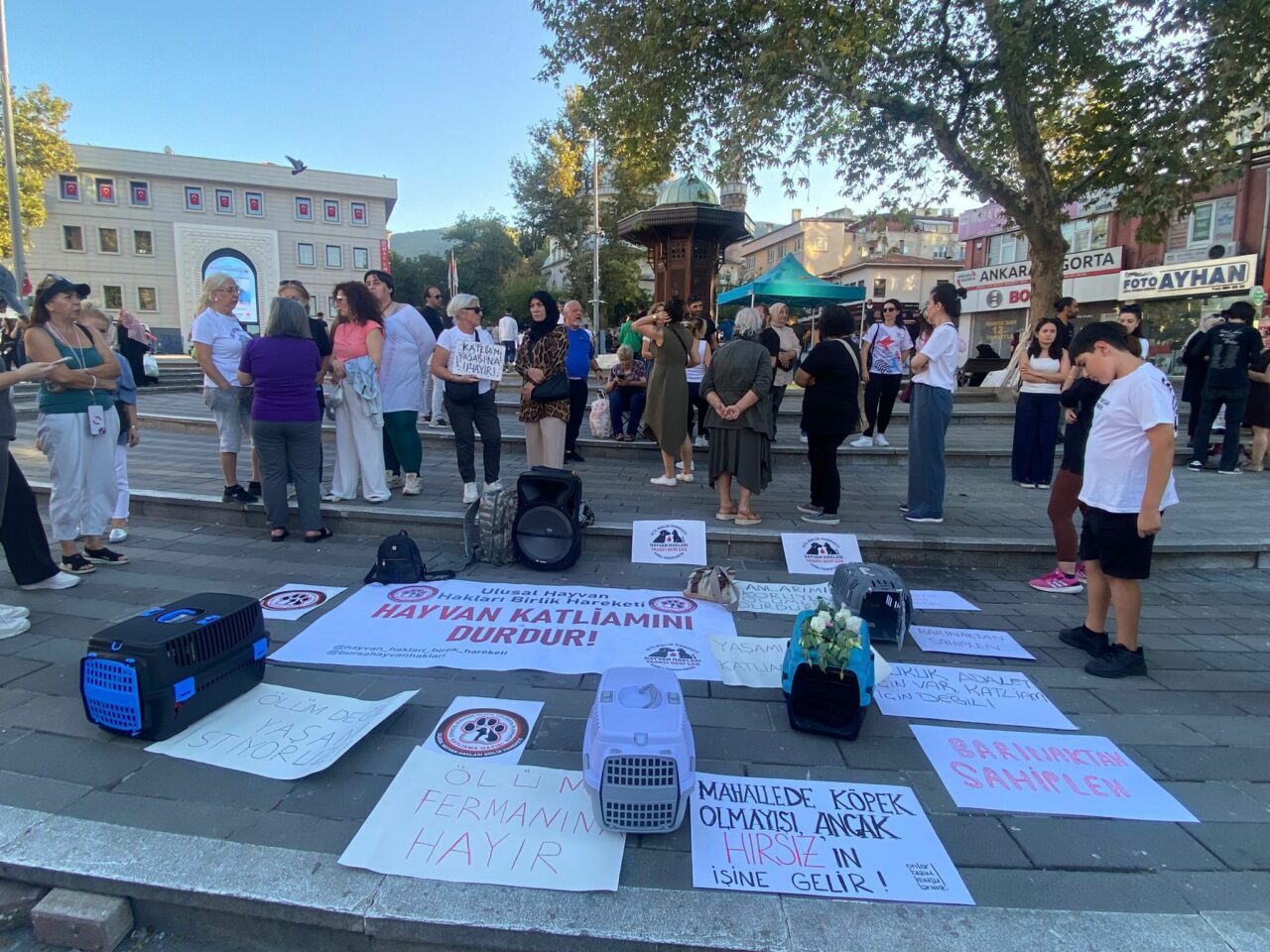 Bursa’da hayvan hakları için ortak ses: ‘Vahşete sessiz kalma!’ Bursa’da hayvan hakları için ortak ses: ‘Vahşete sessiz kalma!’