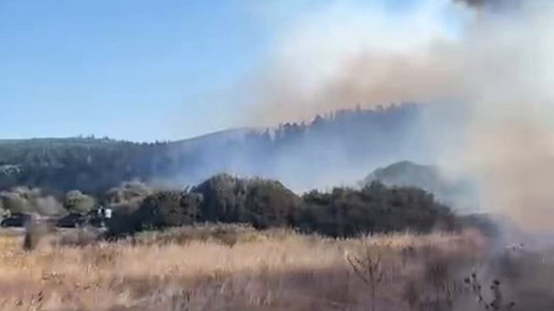 Bursa’da orman yangını Bursa’da orman yangını