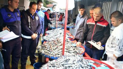 Yenişehir’de balık pazarına sıkı denetim