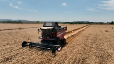 Bursa tarımına akademik bakış