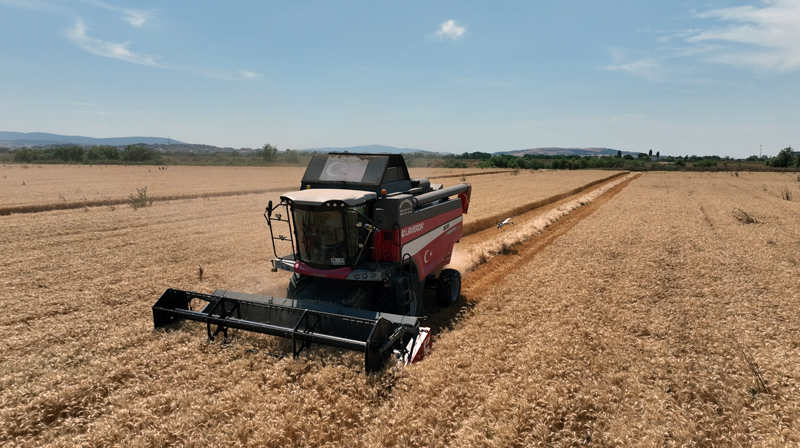 Bursa tarımına akademik bakış