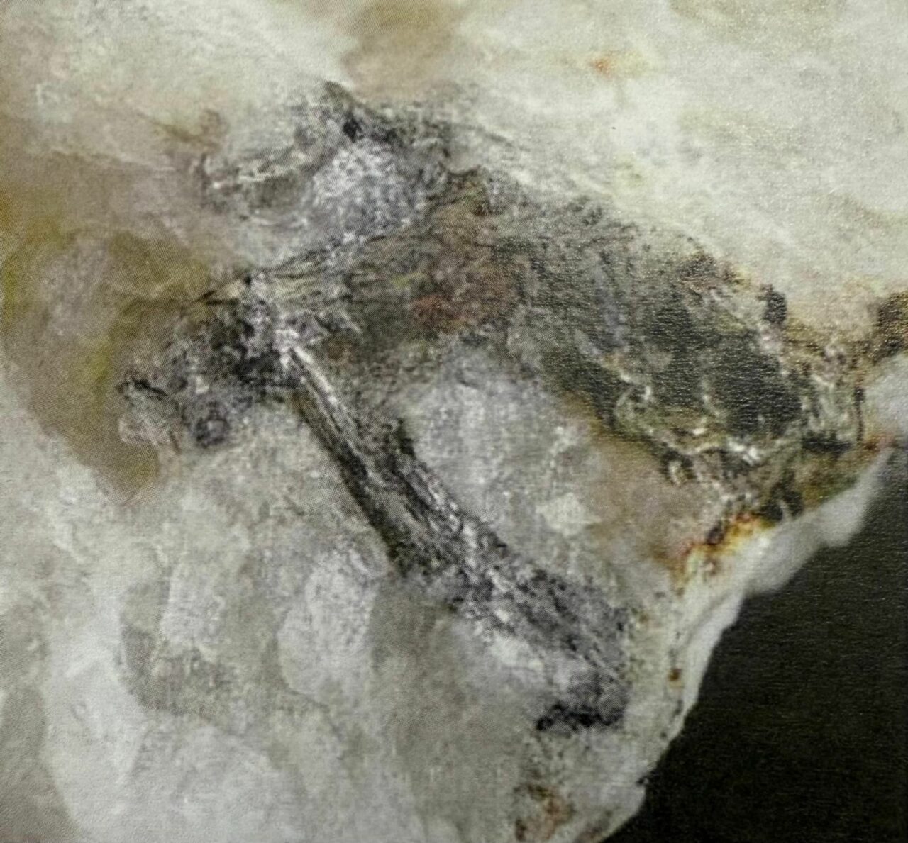 Dünyada sadece Bursa’da var! 70 yıl önce keşfedilen gizli hazine… Dünyada sadece Bursa’da var! 70 yıl önce keşfedilen gizli hazine…