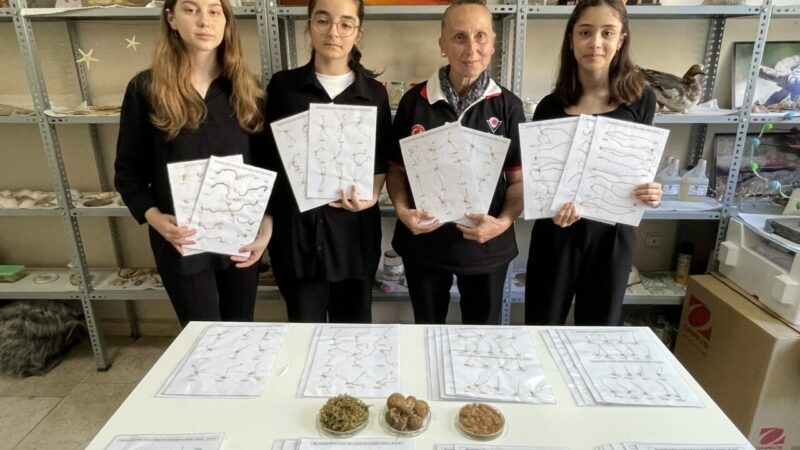 Bursa’da BİLSEM öğrencilerinden ödüllük proje Bursa'daki BTSO Kamil Tolon Bilim ve Sanat Merkezi (BİLSEM) öğrencileri,