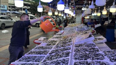 Balık bolluğu; Kilosu 100 liraya kadar düştü