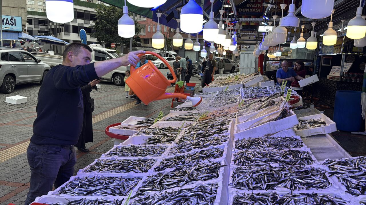 Balık bolluğu; Kilosu 100 liraya kadar düştü