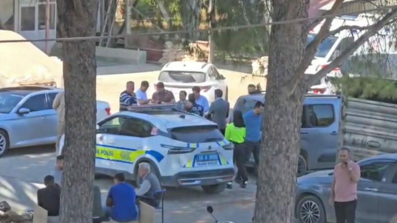Alacak kavgası çifte cinayetle bitti Muğla'nın Milas ilçesinde, 'alacak' nedeniyle çıkan silahlı kavgada, Halil İbrahim