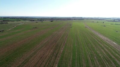 Bursa’nın tarihi ilçesinde kaygı veren durum
