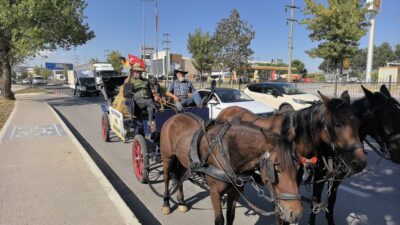 Bursa’dan geçen Alman çift, at arabasıyla Kudüs’e gidiyor