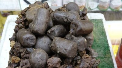 Talep patlaması yaşayan ürün; 50 gramı bin 250 lira…