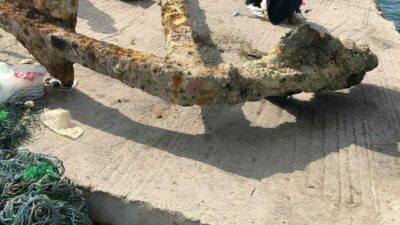 Balıkçıların ağına takıldı: Tam 3 tonluk…