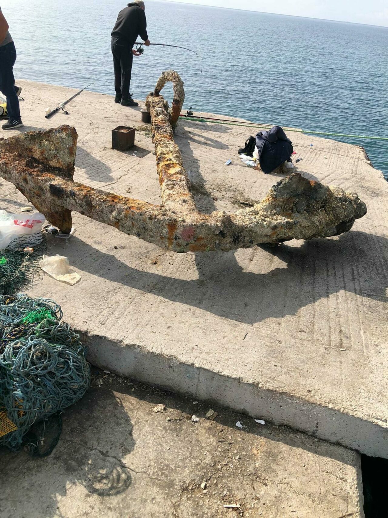 Balıkçıların ağına takıldı: Tam 3 tonluk…