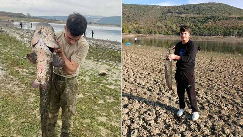 Bursa’da kuraklığın nedeniyle su seviyesi düşen gölde yayın avı Bursa’da kuraklığın nedeniyle su seviyesi düşen gölde yayın avı