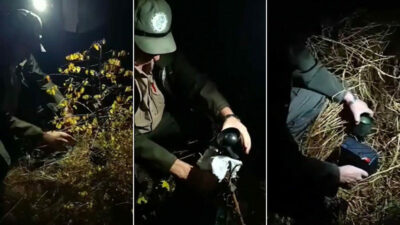 Bursa’da ormanda ele geçirildi! Yaban hayvanlarını avlamak için…