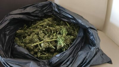 Bursa’da operasyonda ele geçirildi! Güvercin kümesine gizlenmişler