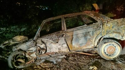 Bursa’da kafa kafaya kaza