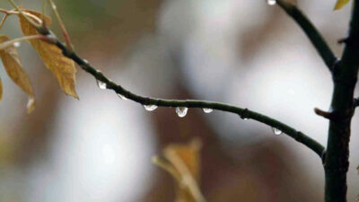 Bursa’da son yağışlar sevindirdi