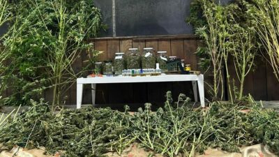 Bursa’da uyuşturucu operasyonu