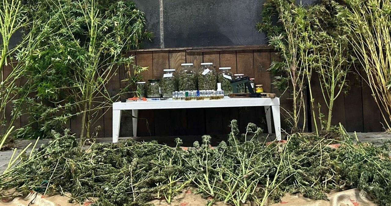 Bursa’da uyuşturucu operasyonu