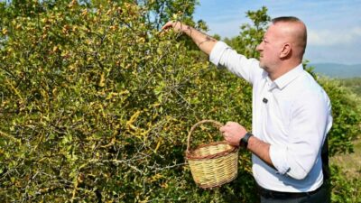 Bursa’da yetişiyor, dünya pazarında tanıtılacak…
