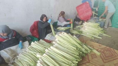 Bursa’nın verimli topraklarında kışlık ürün hasadı başladı