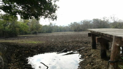 Bursa’ya bir kötü haber daha! Orası da kurudu