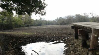 Bursa’nın koruma alanı ilan edilen bölgesi için acil inceleme