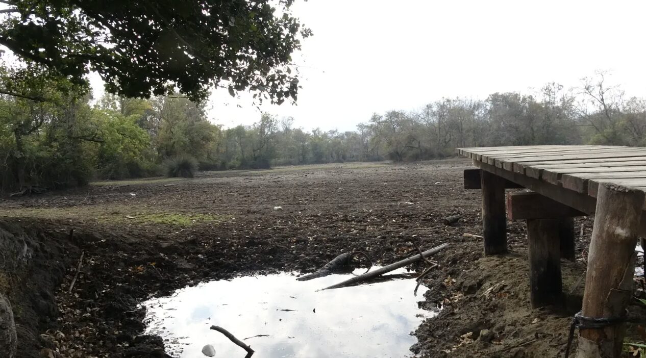 Bursa’nın koruma alanı ilan edilen bölgesi için acil inceleme Bursa’nın koruma alanı ilan edilen bölgesi için acil inceleme
