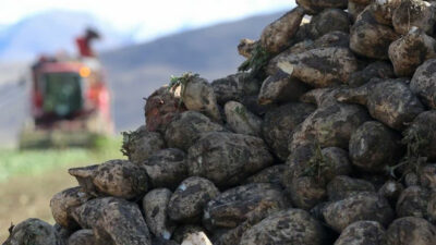 Yüzde 40 arttı: Çiftçilerden büyük rağbet görüyor