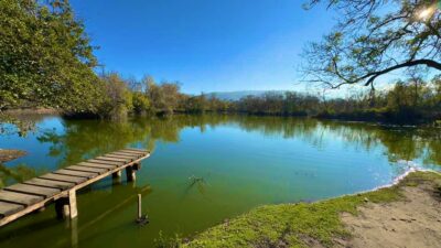 Kuraklığın vurduğu Bursa’da sevindiren gelişme