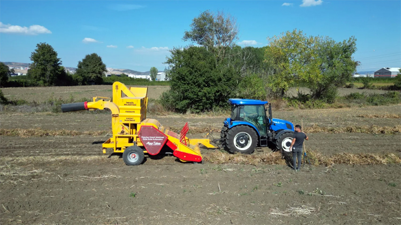 Bursa’nın tescilli değerinde hasat zamanı
