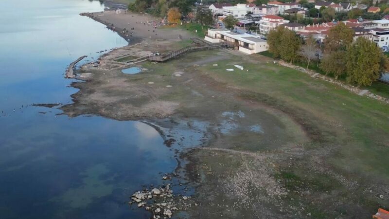 Bursa İznik Gölü’nde korkutan manzara Türkiye'nin en büyük tatlı su kaynaklarından biri olan İznik Gölü,