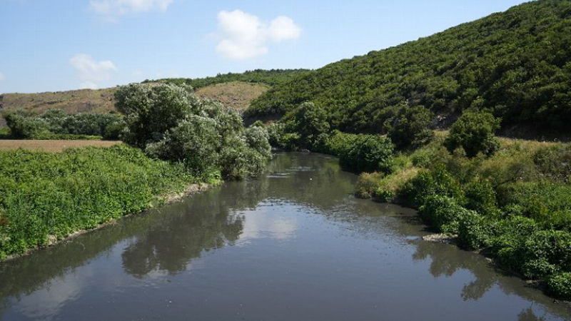Bursa’nın zehir akan çayını kurtarma çalışmasına Bozbey’den tam destek