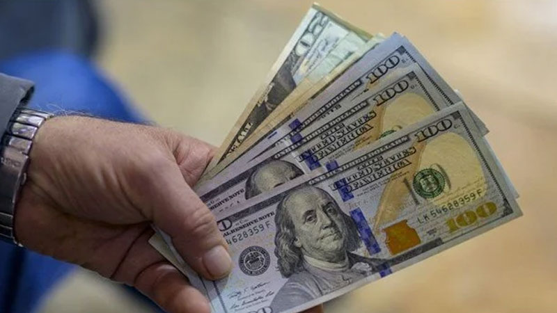 Merkez Bankası’nın rezervleri rekor kırdı