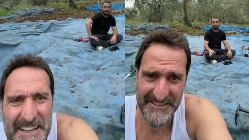 Köfte Necmi’den Bursa’da zeytin hasadı Köfte Necmi’den Bursa’da zeytin hasadı