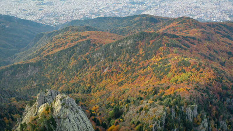 Uludağ’da sonbaharın renkleri büyüledi Türkiye'nin kayak ve kış turizminin önemli merkezlerinden Uludağ'ın ormanlarında, yeşil,