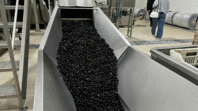 Bursa’nın dev markası kapılarını açtı: İşte zeytinin yolculuğu