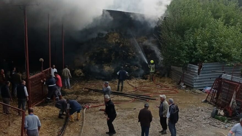 Bursa’da ahırda yangın: 170 küçükbaş hayvan telef oldu Bursa’da ahırda yangın: 170 küçükbaş hayvan telef oldu