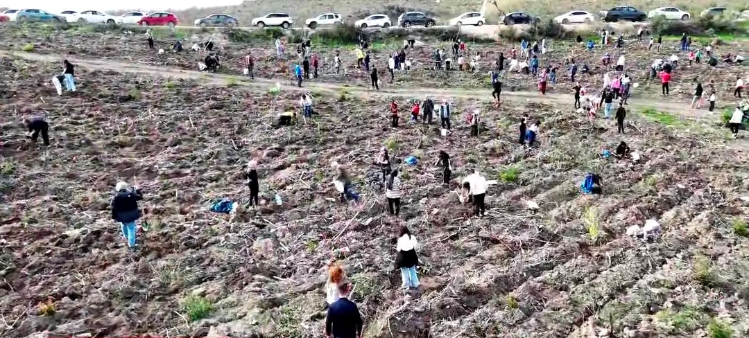 Bursa’da 2 bin doktor tek bir amaç için el ele verdi!