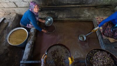 Kendine has aromasıyla dikkat çekiyor!