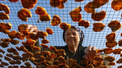 Kış aylarında koruyucu kalkan!