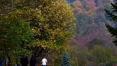 Bu şelale parkını mutlaka görün!